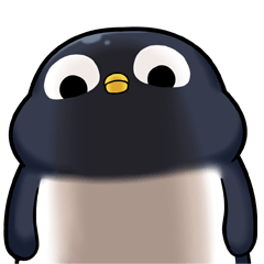 Mister Penguin Pi dan Black to shiny