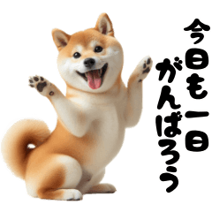 Everyday Conversation Shiba Inu-chan