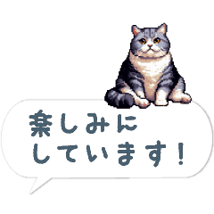 毎日使えるふきだし猫2【敬語】