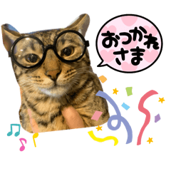 norichiku