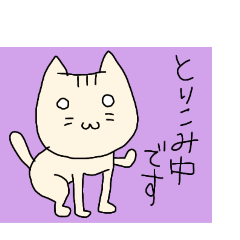 Tama(white cat)