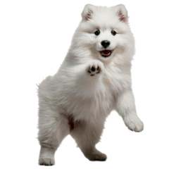 Samoyed Dog Fluffy Stamp3