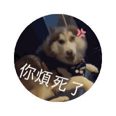 歐蕾動態表情包