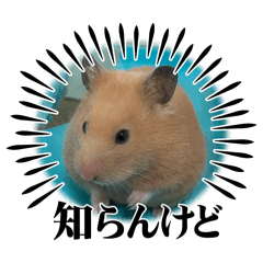 Masa_20250227192238