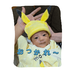 shin_20250227193607