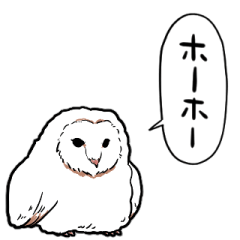 talking white owl