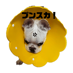 DAIFUKU_20250227173431