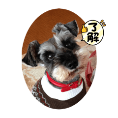 yuka_20250227203231