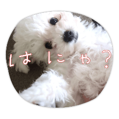 TOMO_20250227210048