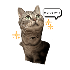 reiko_20250227215627