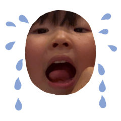 sho_2025022722033