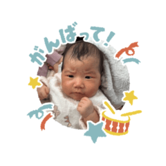 shin_20250227220539