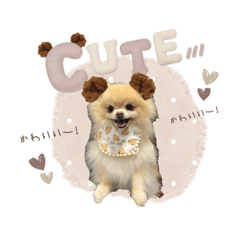 miki_20250227211619