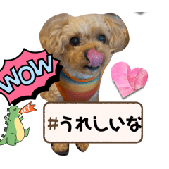 airi_20250227185350