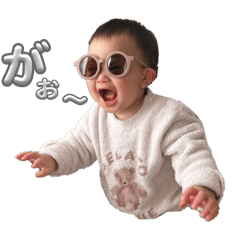 taro_20250227223206
