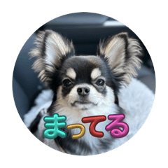 Hana_20250227195023