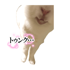 Vanilla_ver2