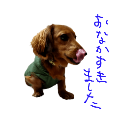 msk_20250227234751