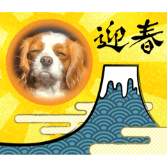 michan_20250228000729
