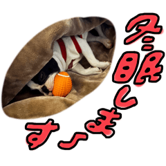 buchan_20250228005111