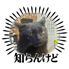 MOE_20250228020610