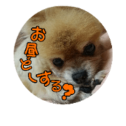 yu-parurun