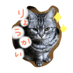 ainyanstamp