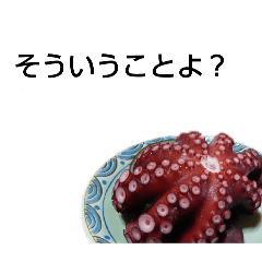 tannpopo_20250227214226