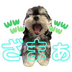 yuko_20250228100857