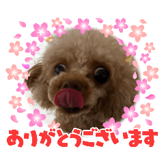 betty&himawari 4