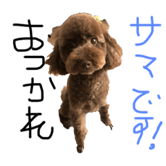 HAPPY_20250228024357