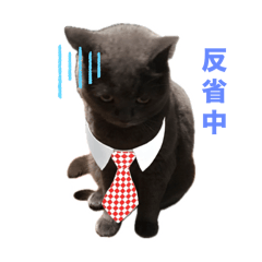 Yuka_20250228125203