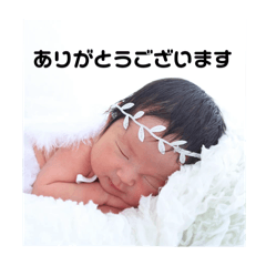 emi_20250228105902
