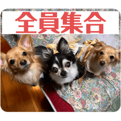Megumi_20250228111302