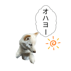 KOMATTAKOMASAN