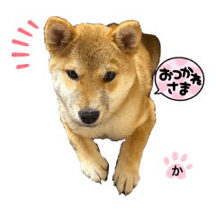 maki_20250228121824