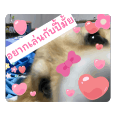 Margie_20250227210250