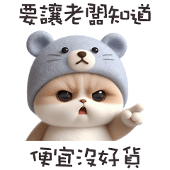 (=ↀωↀ=)熊熊貓便宜沒好貨