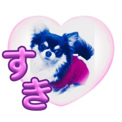 masa_20250228092143