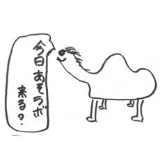 PON_20250228012539