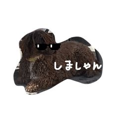 shimashan
