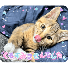 Nagisa_20250228153927