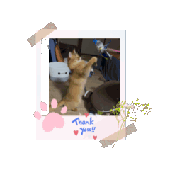 miki_20250228144523