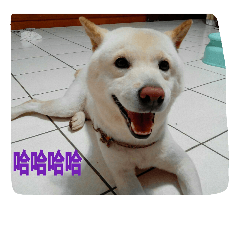 Maru of life 2