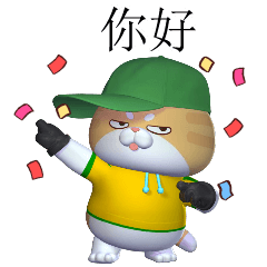 Sumo Funny Cat_V. China