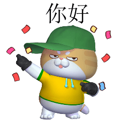 Sumo Funny Cat_V. China