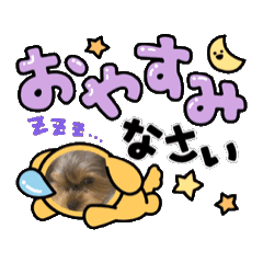 arisa_20250228230047