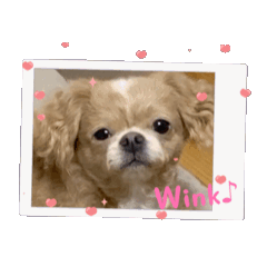 rina_20250228230455