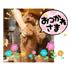 YOSHI_20250301001012