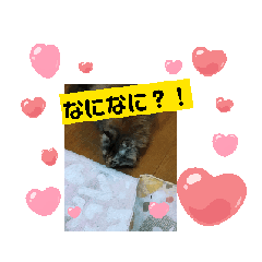 MAKIKO_20250301074738